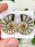 Ammonitenpaar mit Larimar Inlay Nr. 89la