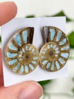 Ammonitenpaar mit Larimar Inlay Nr. 89la – Bild 2