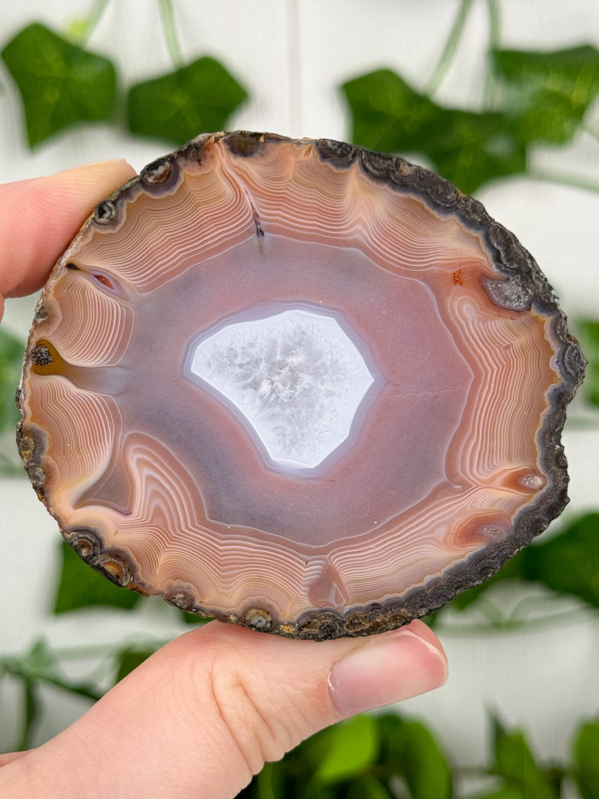 IMG_5664_jpg Highquality Achat aus Xuanhua, Hebei, China – Bild 1