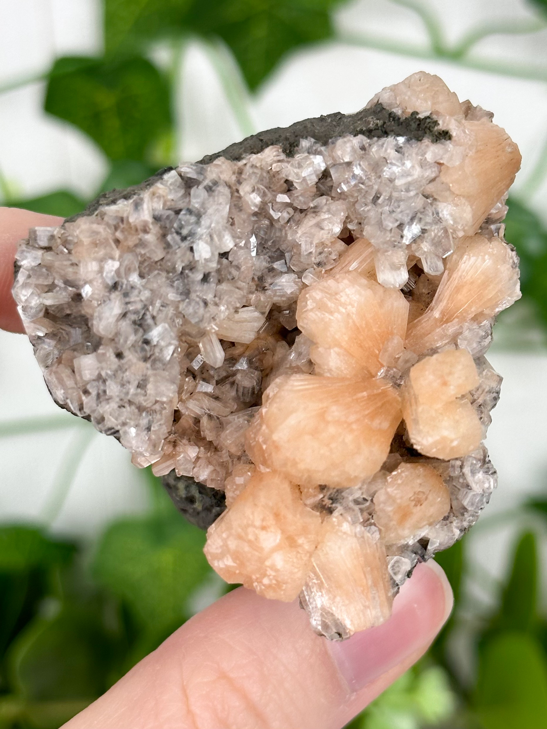 img_8501_jpg Stellerit x Heulandit Nr. 49hs – Bild 1