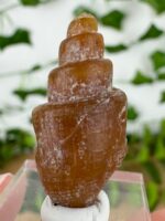 Karneol Muschel Nr. 18k1