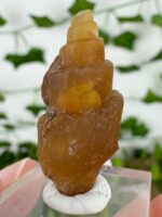 Karneol Muschel Nr. 18m1