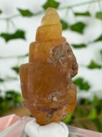 Karneol Muschel Nr. 18m1 – Bild 2