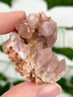 Pink Amethyst Geode Nr. 22p1
