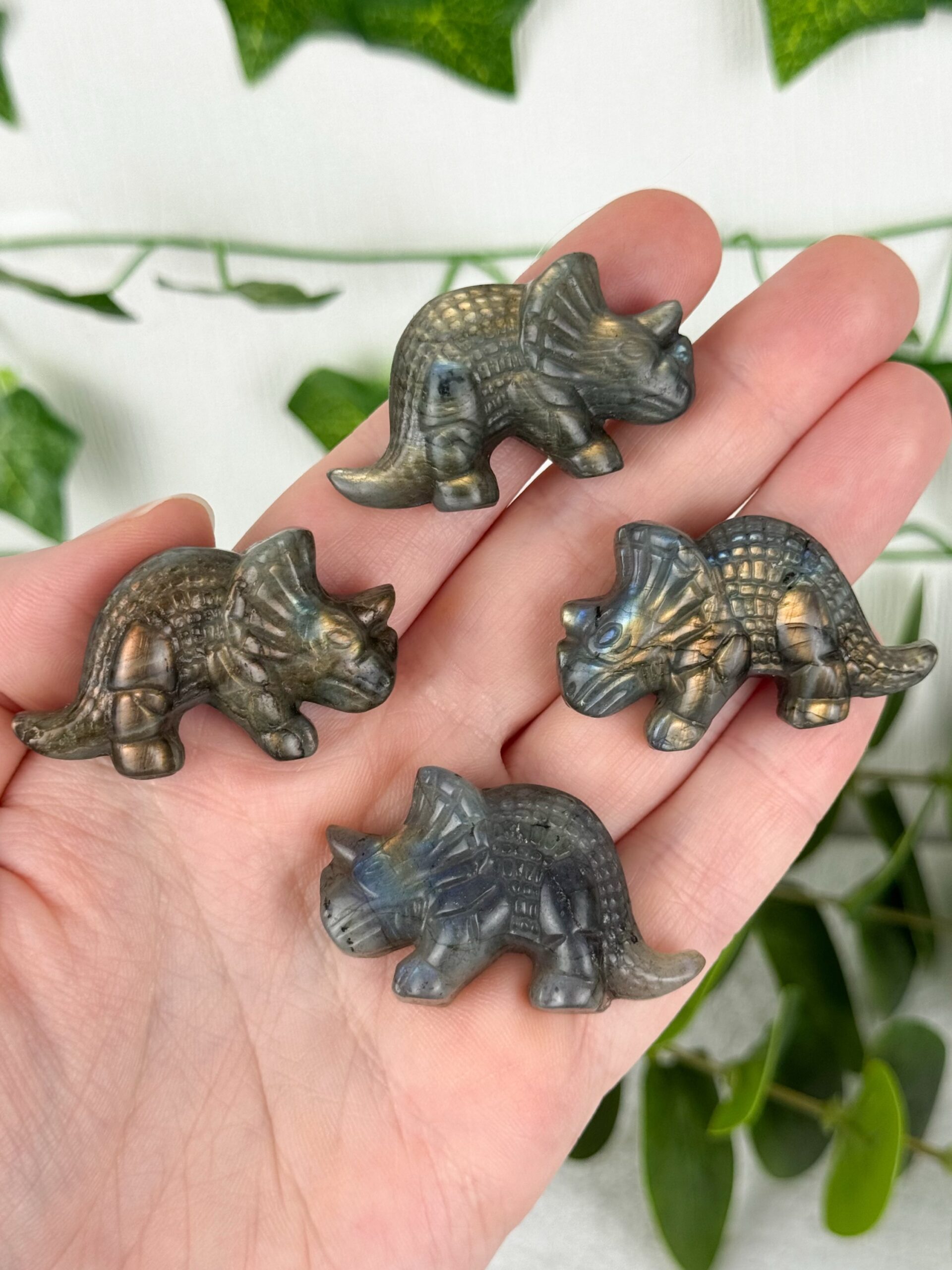 img_6644_jpg Mystery Labradorit Dinosaurier | Triceratops – Bild 1