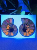 Ammonitenpaar mit Hackmanit Inlay Nr. 110