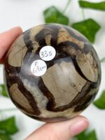 Septarie Kugel Nr. 33s – Bild 2
