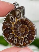 Ammonite Anhänger Nr. 16a3