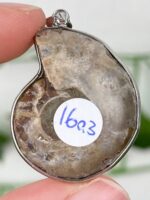 Ammonite Anhänger Nr. 16a3 – Bild 2