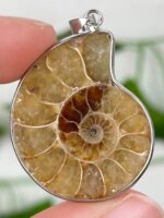 Ammonite Anhänger Nr. 16a2