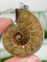 Ammonite Anhänger Nr. 16a1