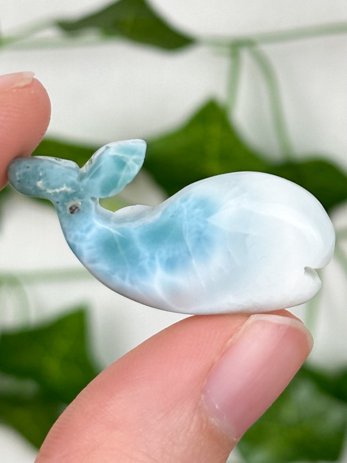 img_8891_jpg Larimar Wal Nr. 83wa – Bild 1