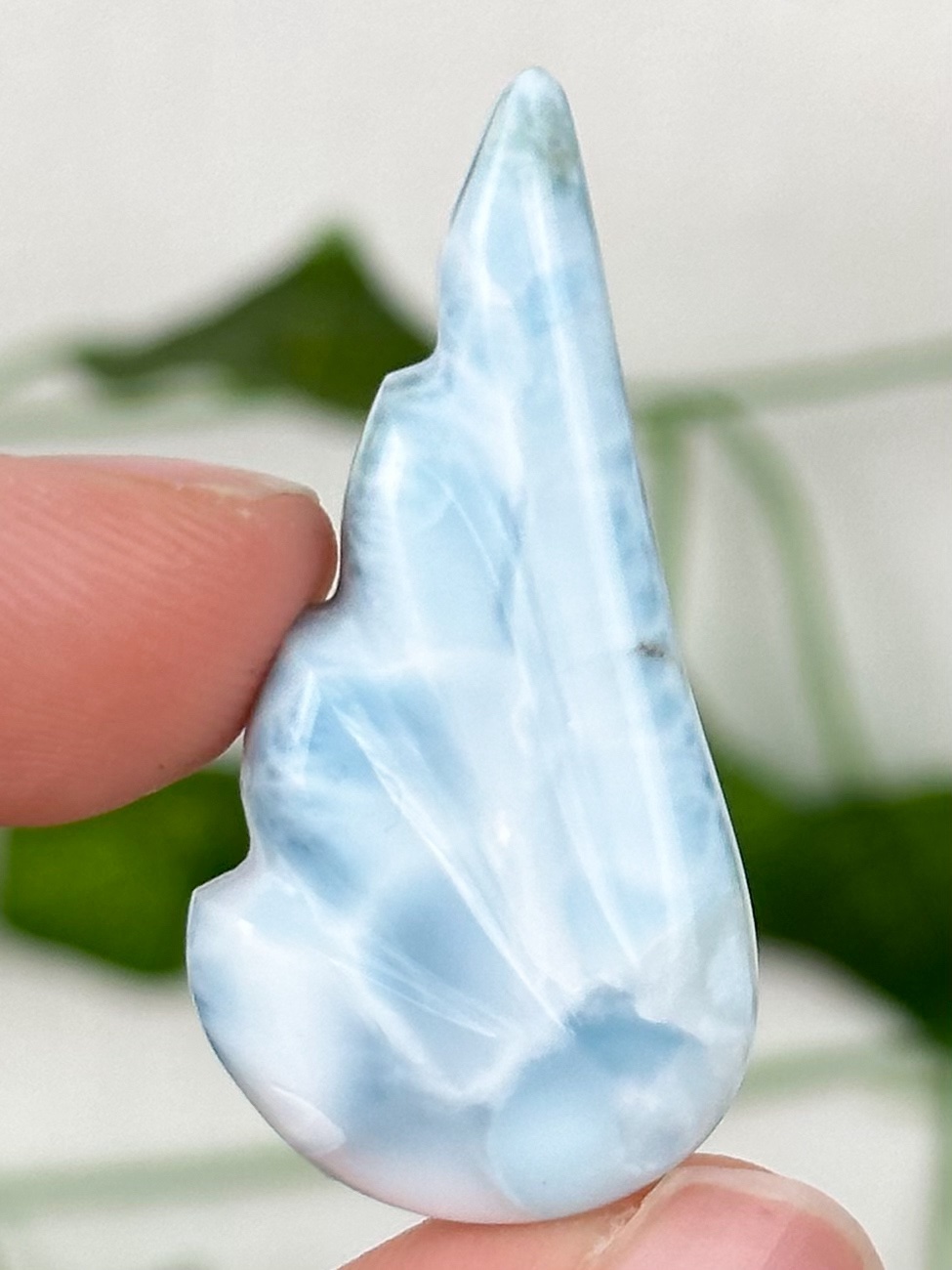 img_8893_jpg Larimar Flügel Nr. 74f – Bild 1