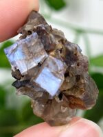 Kristallisierter Mondstein | Anorthoklas Specimen Nr. 69m1