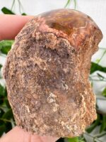 Versteinertes Holz Nr. 18vh – Bild 2
