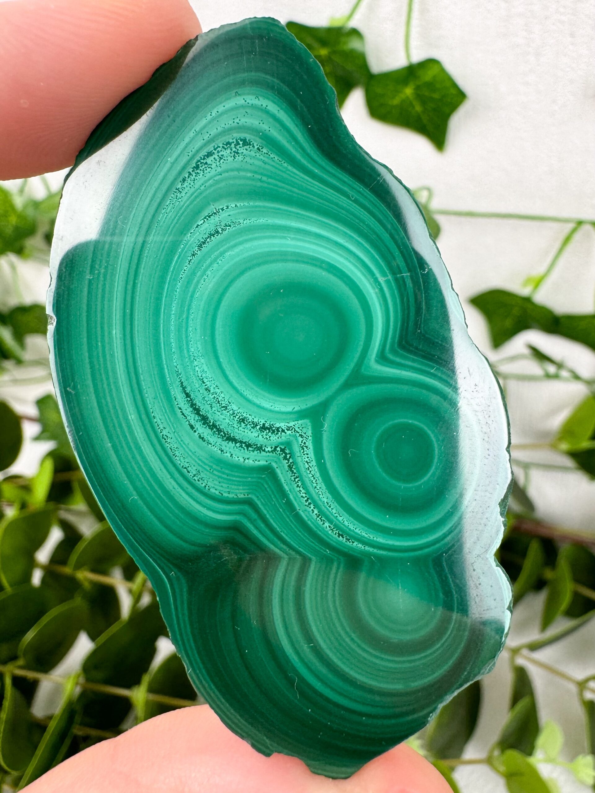 img_4251_jpg Malachit Scheibe Nr. 31ml – Bild 1