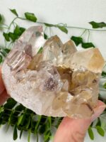 Sunset Phantom Quarz Cluster Nr. 169s – Bild 2