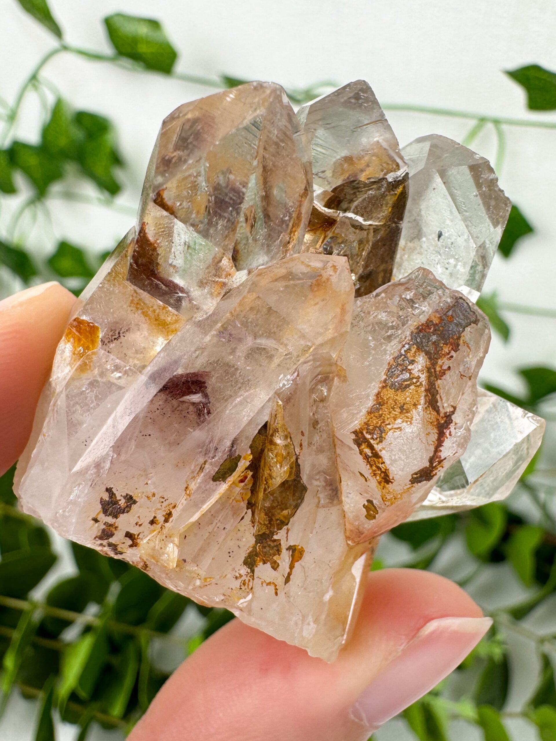 img_4414_jpg Sunset Phantom Quarz Cluster Nr. 68s – Bild 1