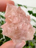 Pinker Halit aus Kalifornien Nr. 37h1 – Bild 2