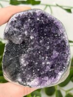 Bicolor Amethyst Cluster / Cut Base Nr. 52a