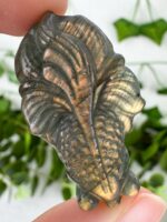 Mystery Labradorit Fisch – Bild 2