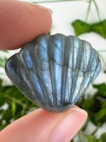 Mystery Labradorit Muschel – Bild 2