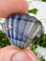B-Ware Mystery Labradorit Muschel – Bild 2