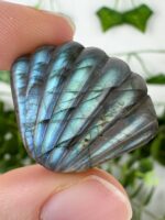 B-Ware Mystery Labradorit Muschel – Bild 3