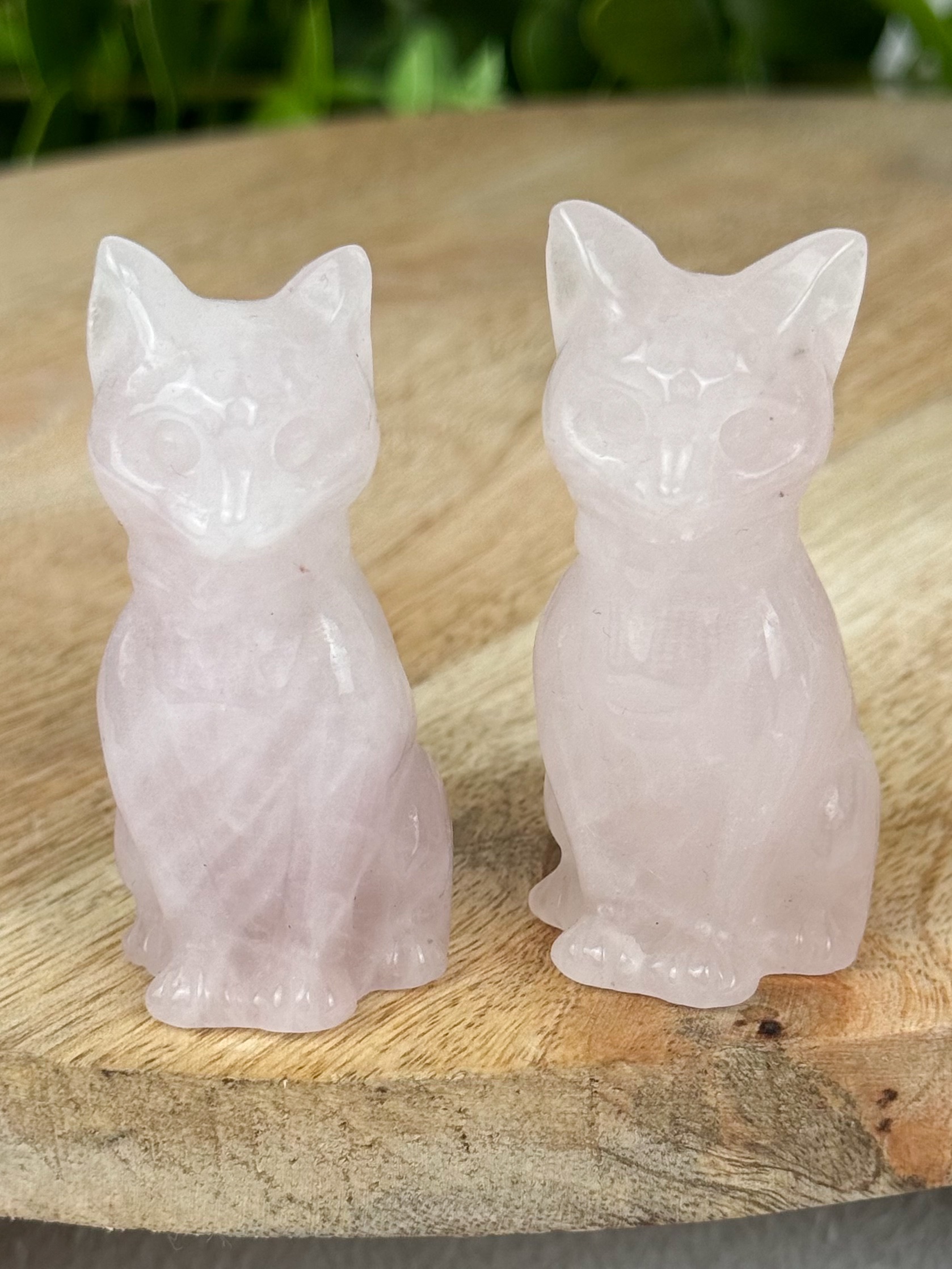 img_4957_jpg-3 Mystery Rosenquarz Katze – Bild 1