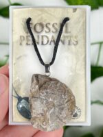 Ammonit Fossil Kette Nr. 11f3