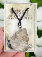 Ammonit Fossil Kette Nr. 11f3 – Bild 2