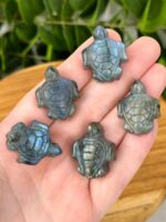 Mystery Labradorit Schildkröte
