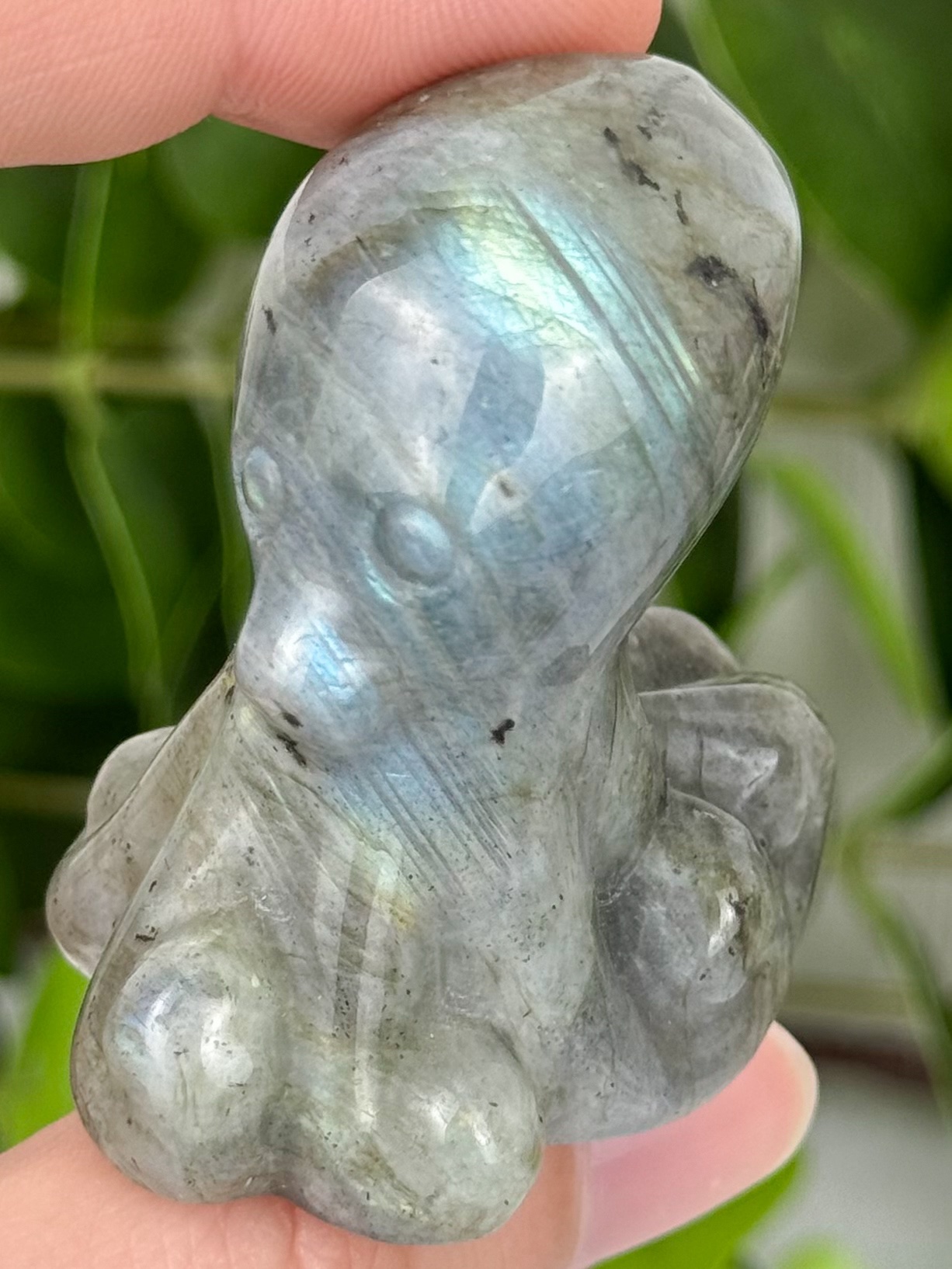 img_7689_jpg Labradorit Oktopus Nr. 18o – Bild 1