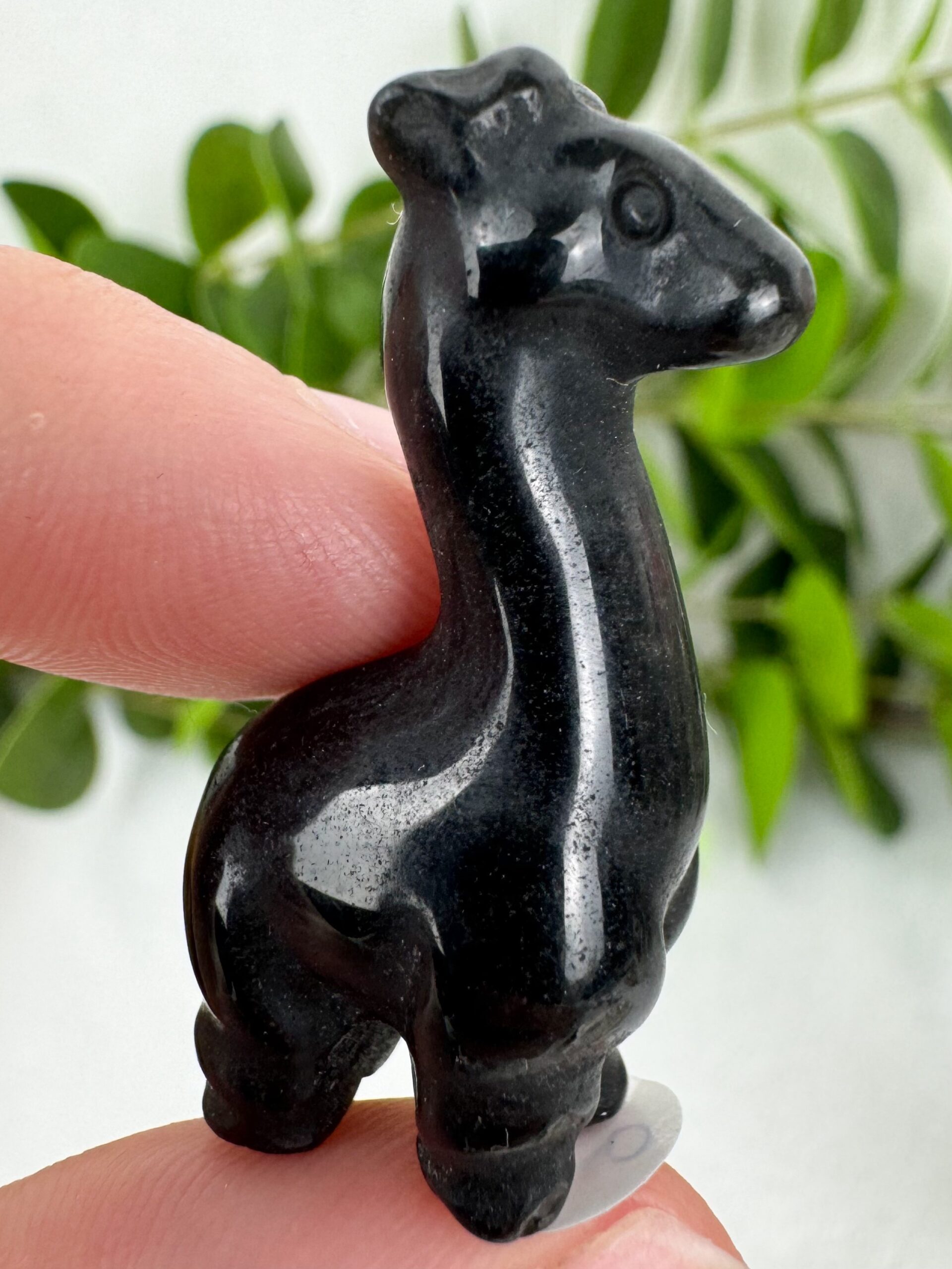 img_7691_jpg Obsidian Lama Nr. 9g2 – Bild 1