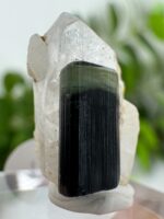 Green Cap Turmalin mit Albit Nr. 55t1 – Bild 2