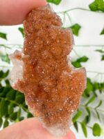 Inesit auf Cumberland Quarz Cluster Nr. 67in