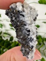 Pyrit x Quarz x Galenit x Sphalerit Specimen Nr. 39qs – Bild 2