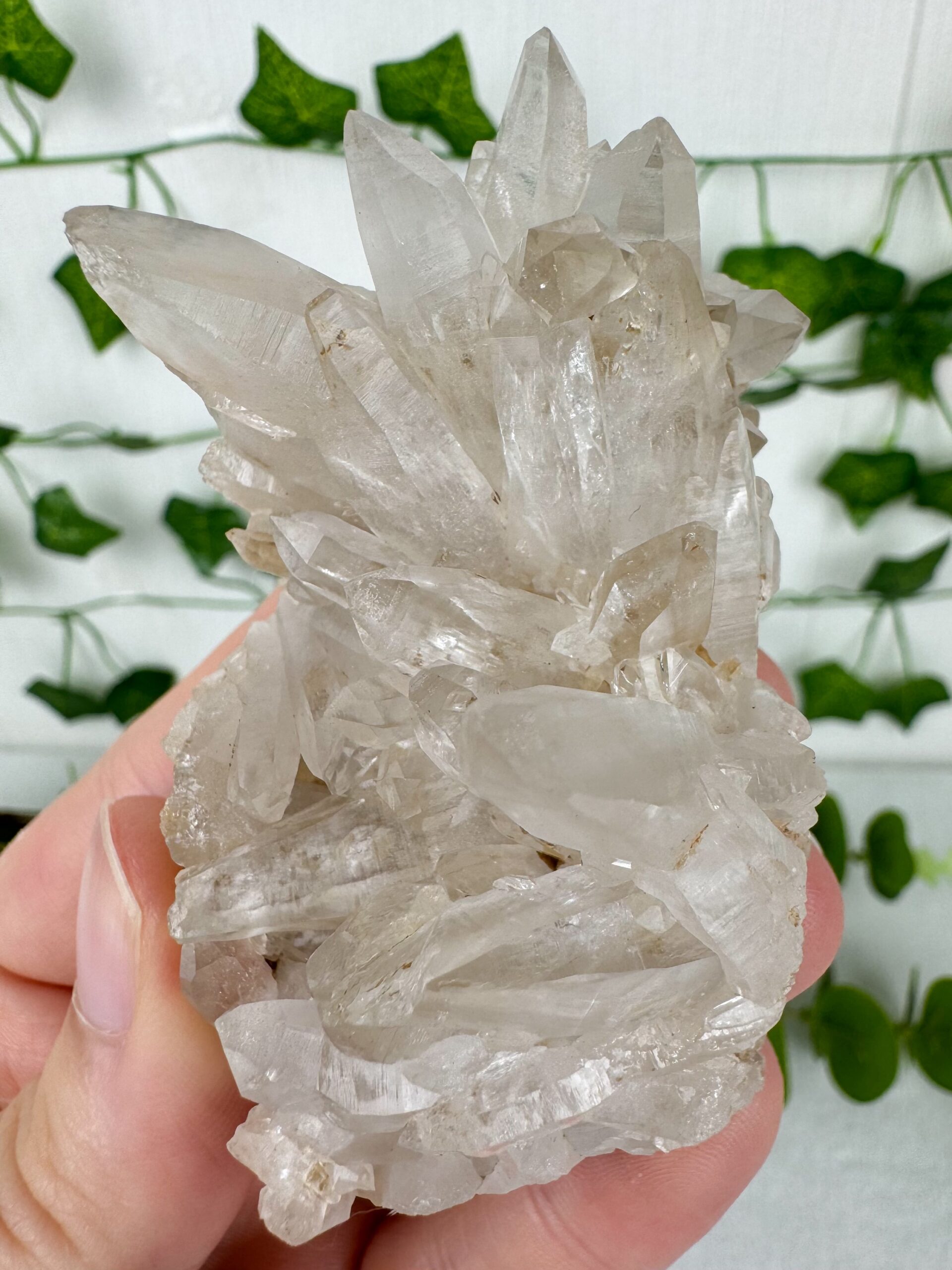 img_9938_jpg Himalaya Quarz Cluster Nr. 38hi – Bild 1