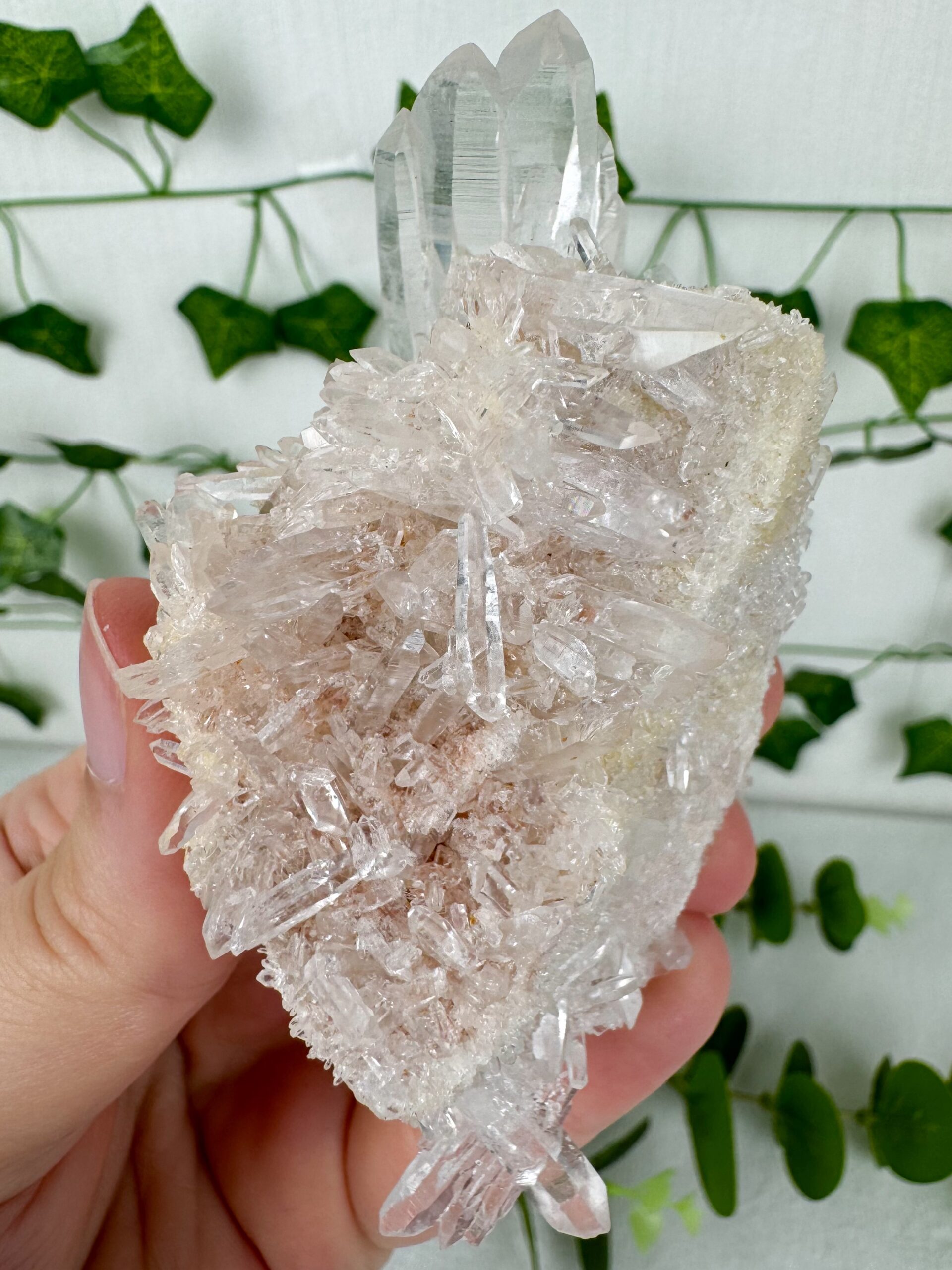 img_9968_jpg Himalaya Quarz Cluster Nr. 43hi – Bild 1