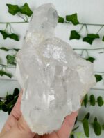 Himalaya Quarz Cluster Nr. 45kh