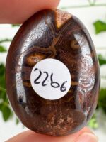 Boulder Opal Anhänger gebohrt Nr. 22b6 – Bild 3