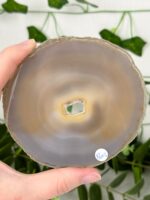 Achat Scheibe Nr. 18a3 – Bild 2