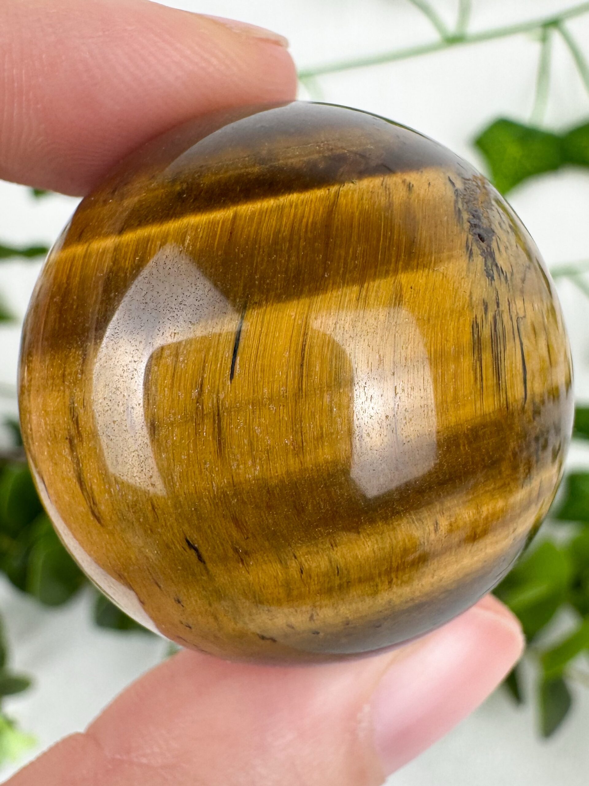 img_4999_jpg Tigerauge Kugel Nr. 16t1 – Bild 1