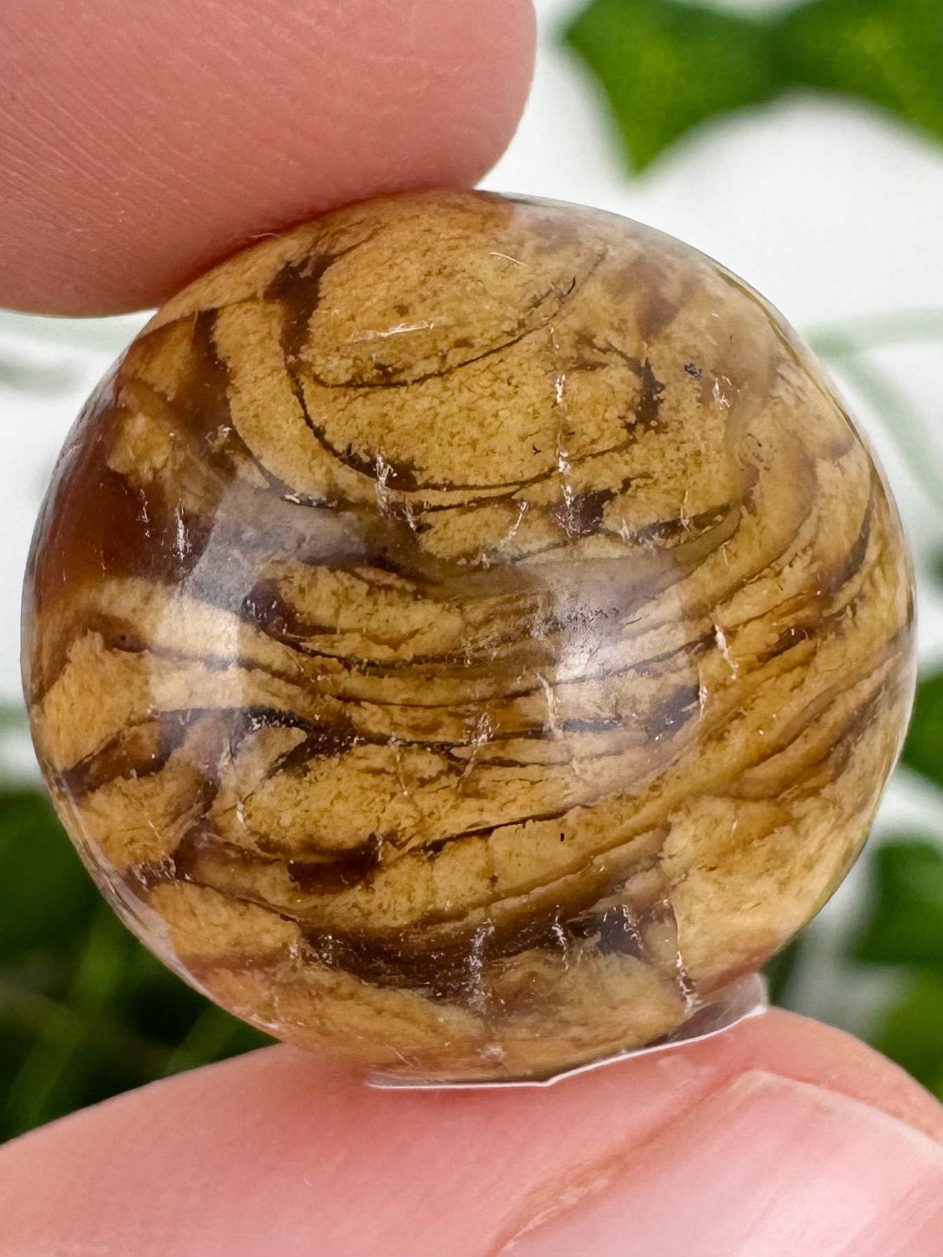 img_5036_jpg-3 „Milk & Honey“ Bernstein Kugel Nr. 26b2 – Bild 1