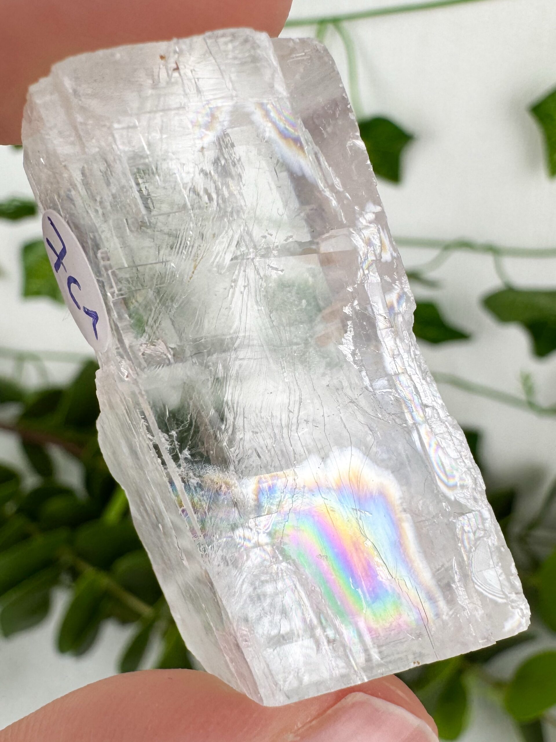 img_5653_jpg-3 Optischer Calcit Nr. 7c1 – Bild 1