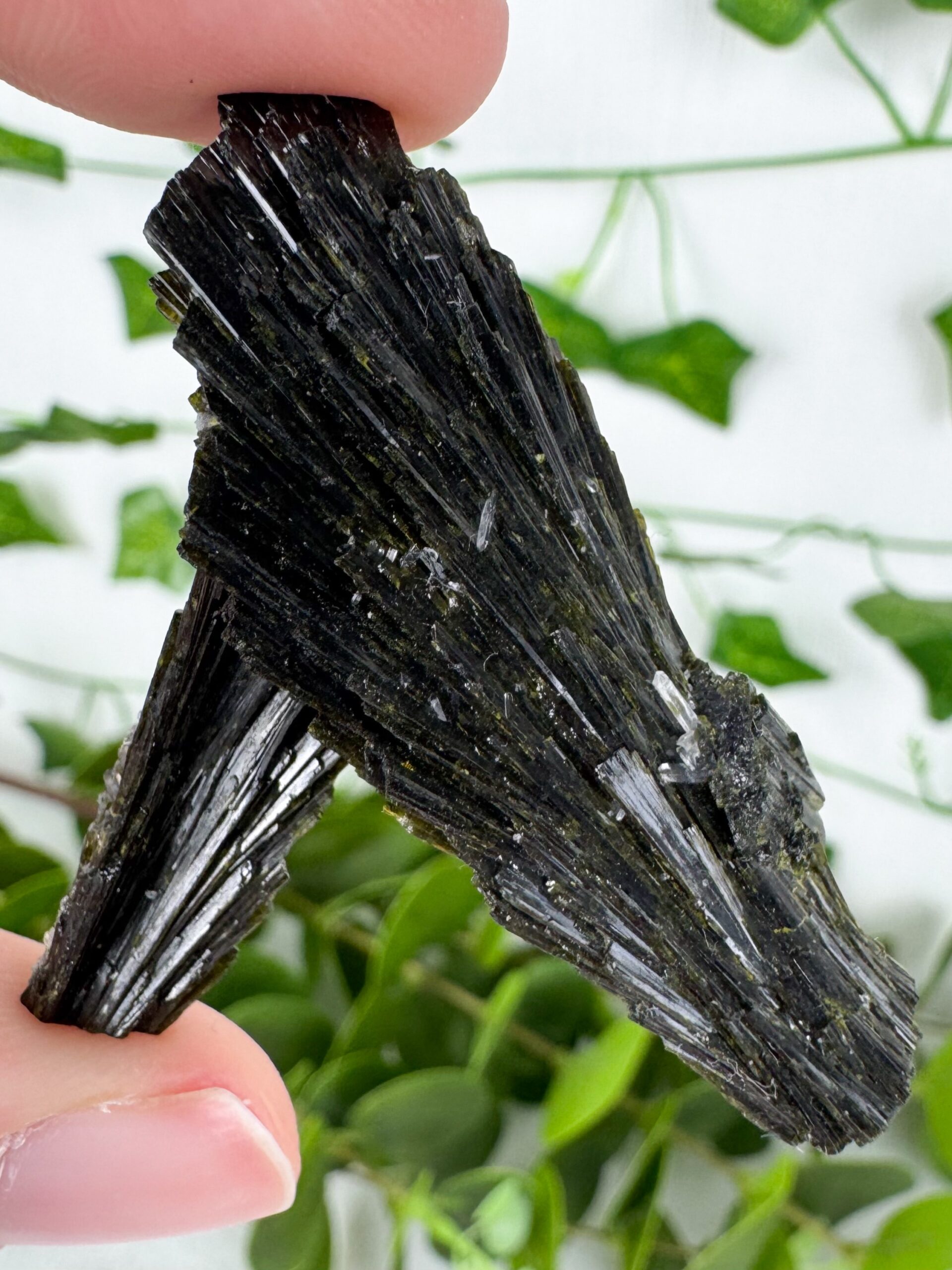 img_5936_jpg Epidot Nr. 49e1 – Bild 1