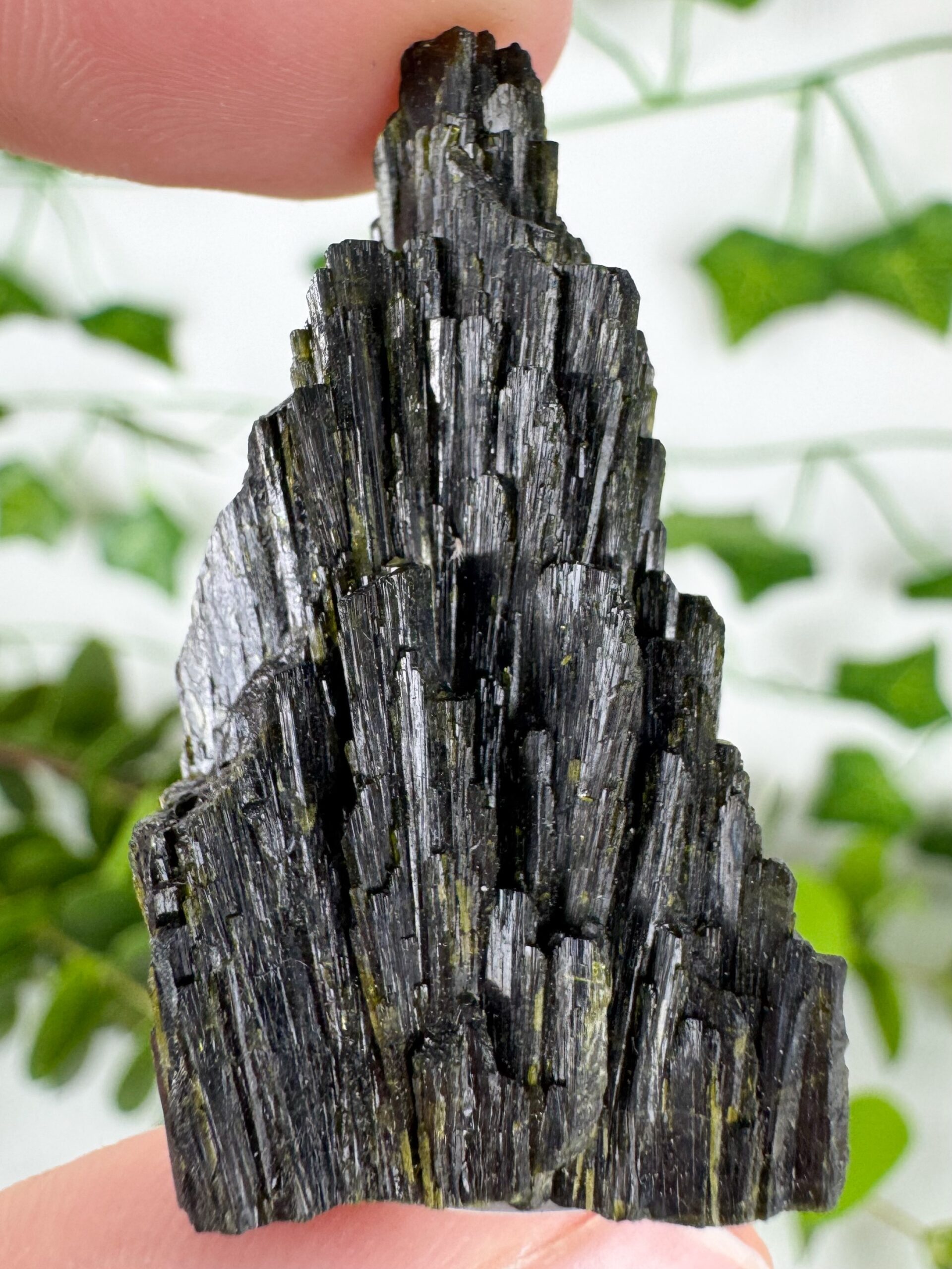 img_5946_jpg Epidot Nr. 37e1 – Bild 1