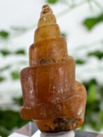 Karneol Muschel Nr. 18k5 – Bild 2