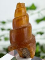 Karneol Muschel Nr. 18k9 – Bild 2