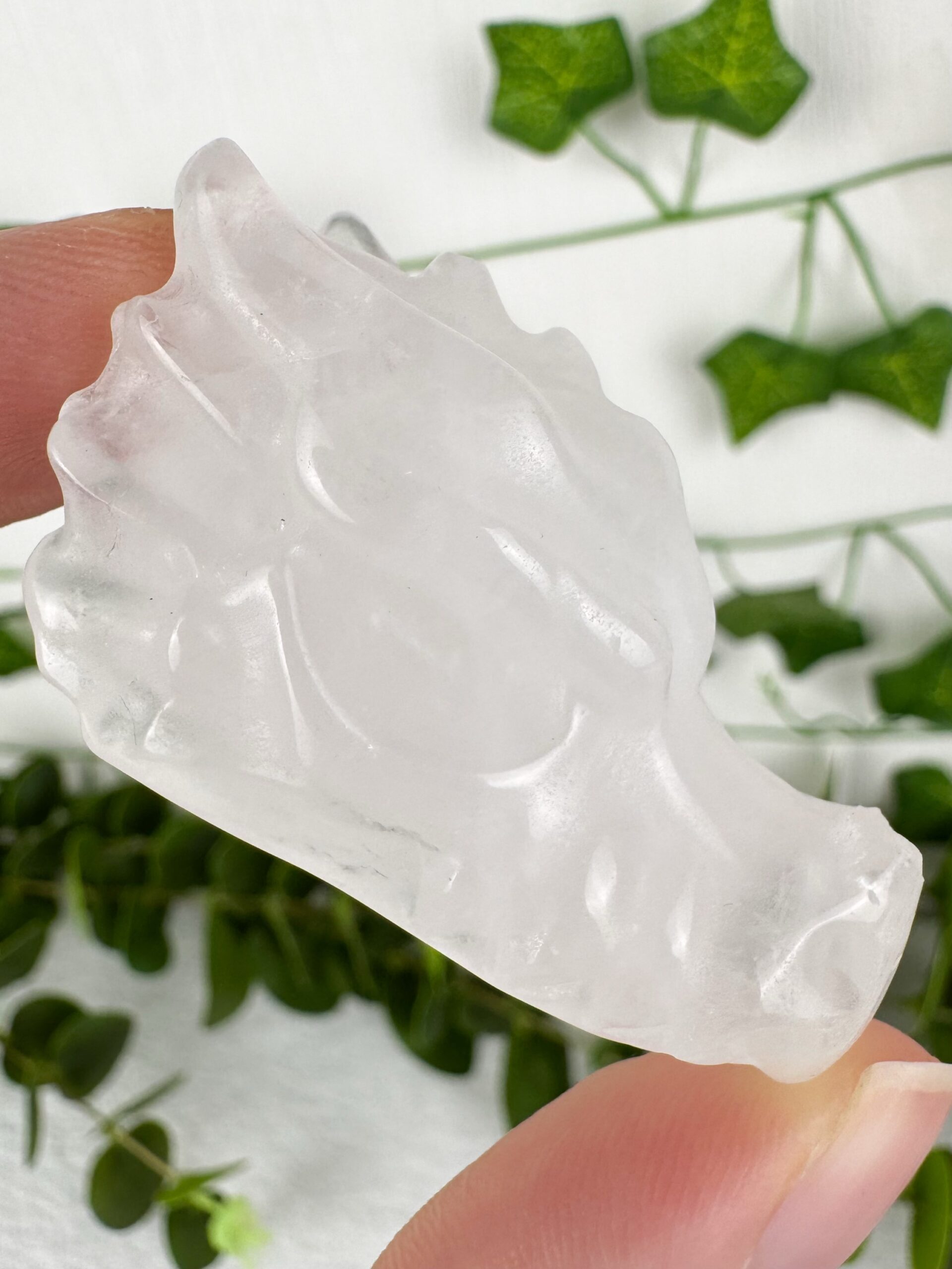 img_6654_jpg B-Ware Bergkristall Drachenkopf – Bild 1